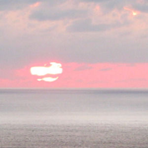 Meet your Posher, Meg